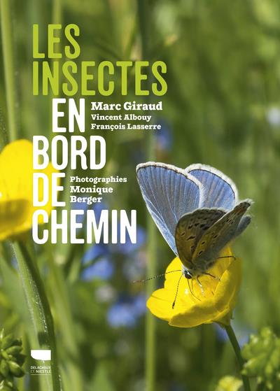 Les insectes en bord de chemin. Petits mais grandioses les insectes méritent notre attention