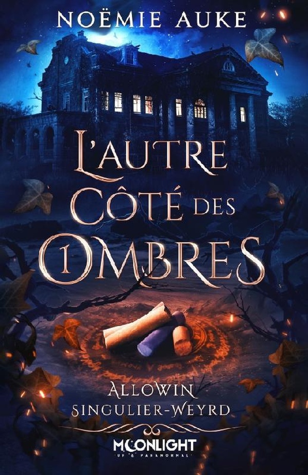 L'autre côté des ombres Tome 1 : Allowin Singulier-Weyrd