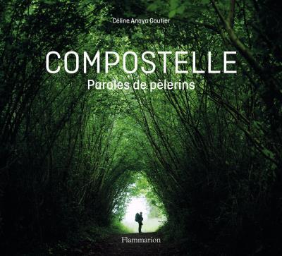 Compostelle. Paroles de pèlerins