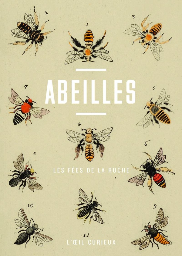 Abeilles. Les fées de la ruche