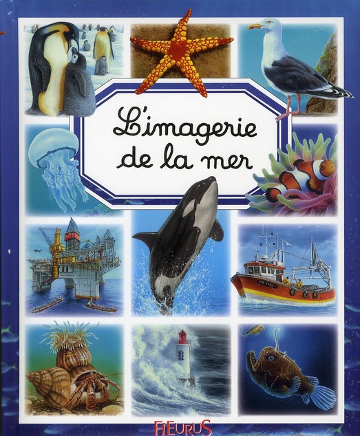L'imagerie de la mer