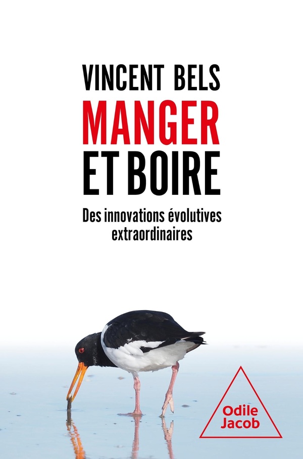 Manger et boire. Des innovations évolutives extraordinaires
