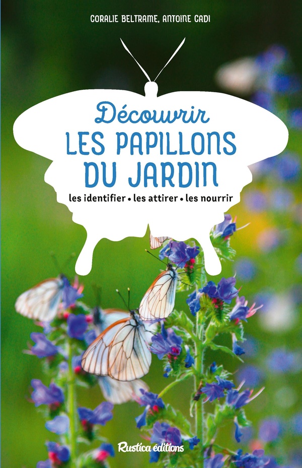 Découvrir les papillons du jardin. Les identifier, les attirer, les nourrir