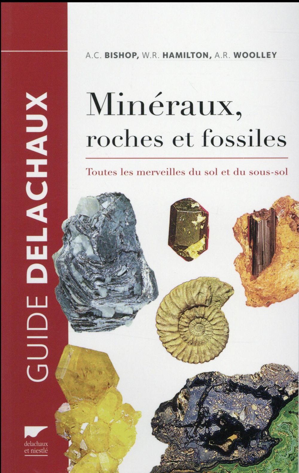 Minéraux, roches et fossiles. Toutes les merveilles du sol et du sous-sol