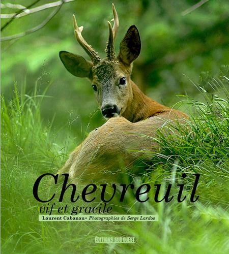 Chevreuil, vif et gracile