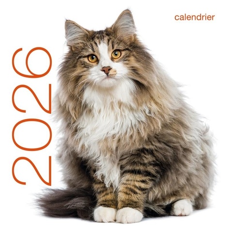 Calendrier Chats. Edition 2026