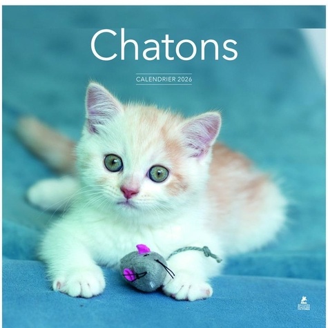 Calendrier Chatons. Edition 2026