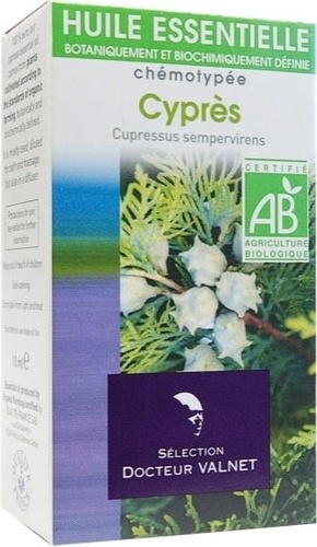 CYPRES - CUPRESSUS SEMPERVIRENS