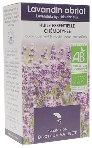 LAVANDIN ABRIAL - LAVANDULA HYBRIDA ABRIALIS