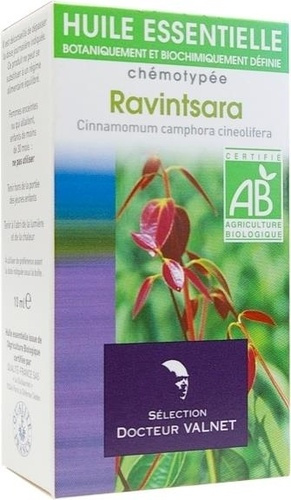 RAVINTSARA - CINNAMOMUM CAMPHORA CINEOLIFERA