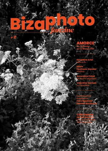 Biza Photo Fan Zine n°2. Photographie d'aujourd'hui