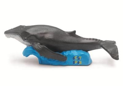 C'est toujours pas sorcier - plongee dans les oceans