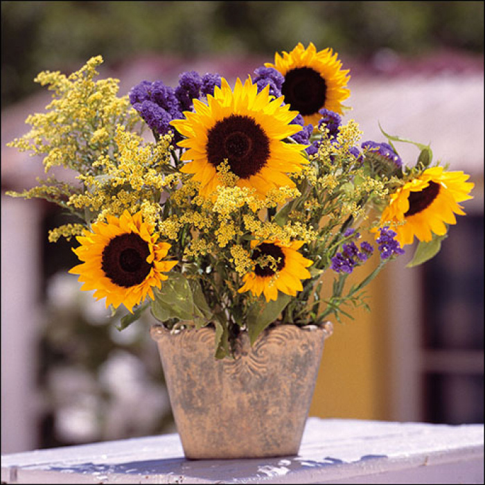 Serviettes de table : Sunflower Bouquet