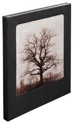 William henry fox talbot gb