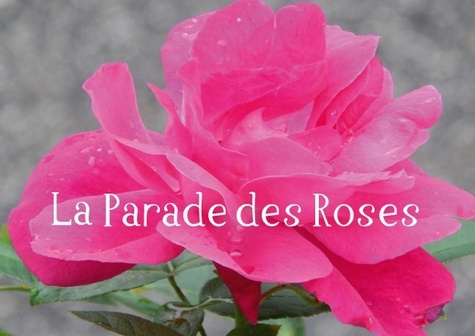 LA PARADE DES ROSES LIVRE POSTER DIN A4 HORIZONTAL