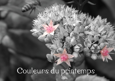 COULEURS DU PRINTEMPS LIVRE POSTER DIN A3 HORIZONTAL