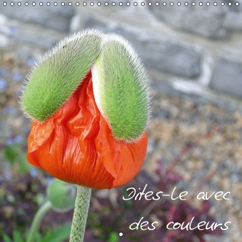 DITES LE AVEC DES COULEURS CALENDRIER MURAL 2016 300 300 MM SQUARE