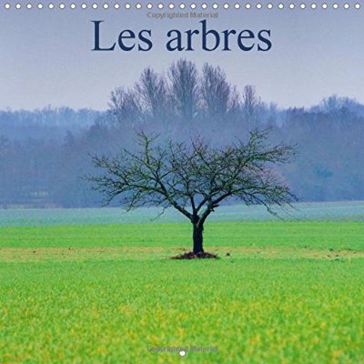 LES ARBRES CALENDRIER MURAL 2016 300 300 MM SQUARE