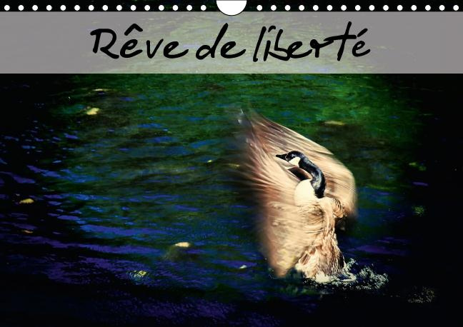 REVE DE LIBERTE CALENDRIER MURAL 2016 DIN A4 HORIZONTAL