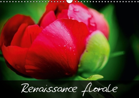 RENAISSANCE FLORALE CALENDRIER MURAL 2016 DIN A3 HORIZONTAL