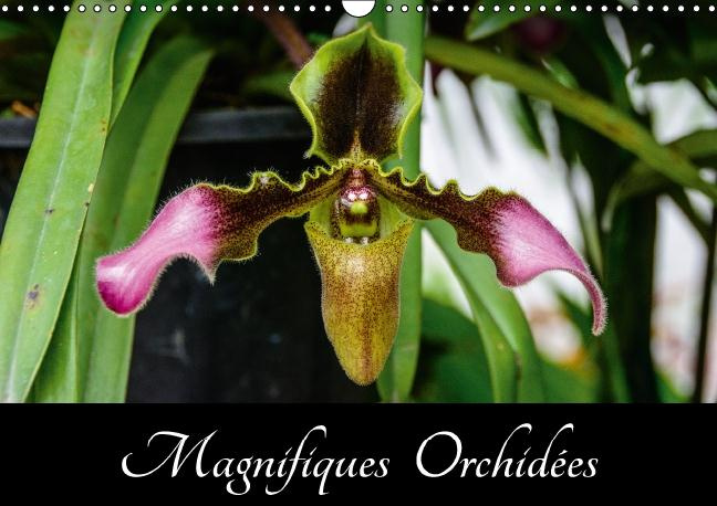 MAGNIFIQUES ORCHIDEES CALENDRIER MURAL 2016 DIN A3 HORIZONTAL