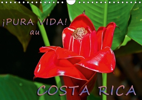 PURA VIDA AU COSTA RICA CALENDRIER MURAL 2016 DIN A4 HORIZONTAL