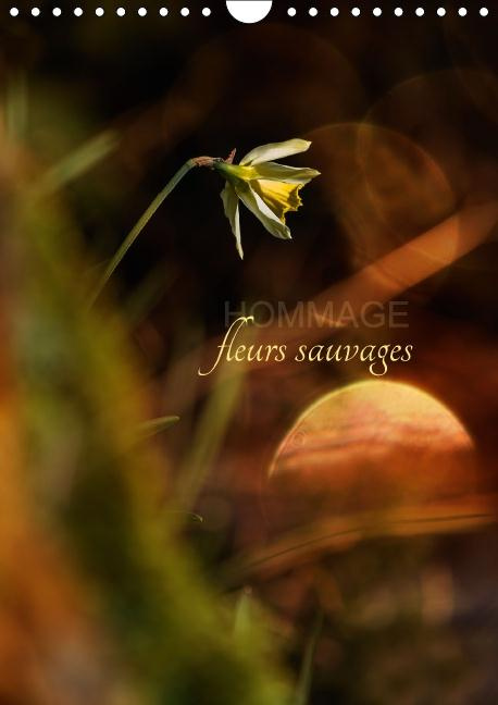 HOMMAGE FLEURS SAUVAGES CALENDRIER MURAL 2016 DIN A4 VERTICAL