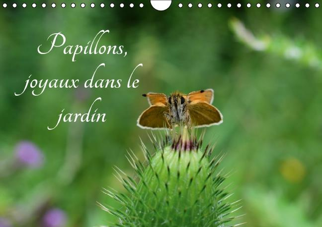 PAPILLONS JOYAUX DANS LE JARDIN CALENDRIER MURAL 2016 DIN A4 HORIZONTAL