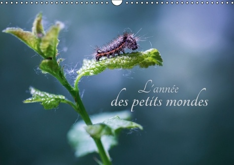 L ANNEE DES PETITS MONDES CALENDRIER MURAL 2016 DIN A3 HORIZONTAL