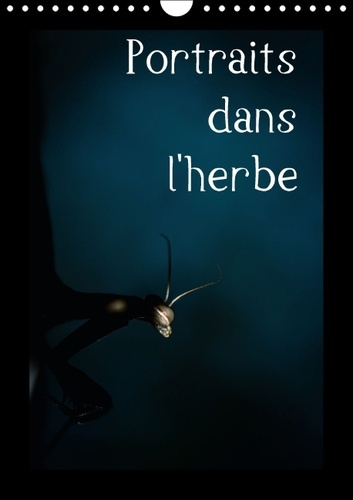 PORTRAITS DANS L HERBE CALENDRIER MURAL 2016 DIN A4 VERTICAL