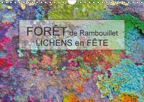 FORET DE RAMBOUILLET LICHENS EN FETE CALENDRIER MURAL 2016 DIN A4 HORIZONTAL
