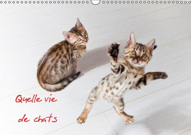 QUELLE VIE DE CHATS CALENDRIER MURAL 2016 DIN A3 HORIZONTAL