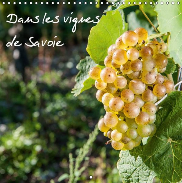 DANS LES VIGNES DE SAVOIE CALENDRIER MURAL 2016 300 300 MM SQUARE