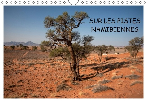 SUR LES PISTES NAMIBIENNES CALENDRIER MURAL 2016 DIN A4 HORIZONTAL