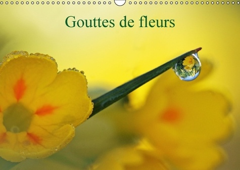 GOUTTES DE FLEURS CALENDRIER MURAL 2016 DIN A3 HORIZONTAL