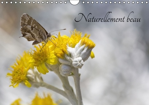 NATURELLEMENT BEAU CALENDRIER MURAL 2016 DIN A4 HORIZONTAL