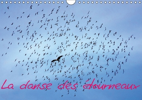 LA DANSE DES ETOURNEAUX CALENDRIER MURAL 2016 DIN A4 HORIZONTAL