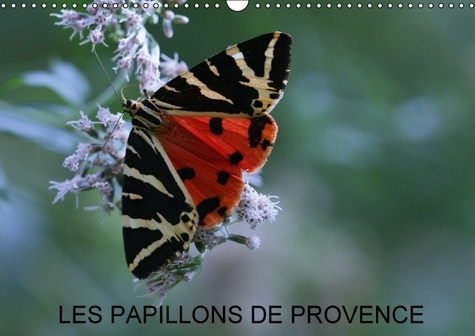LES PAPILLONS DE PROVENCE CALENDRIER MURAL 2016 DIN A3 HORIZONTAL