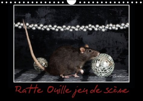 RATTE OUILLE JEU DE SCENE CALENDRIER MURAL 2016 DIN A4 HORIZONTAL