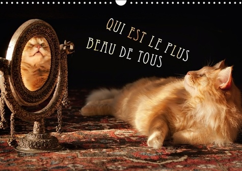 QUI EST LE PLUS BEAU DE TOUS CALENDRIER MURAL 2016 DIN A3 HORIZONTAL