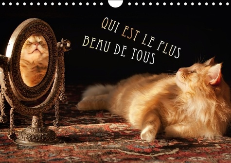 QUI EST LE PLUS BEAU DE TOUS CALENDRIER MURAL 2016 DIN A4 HORIZONTAL