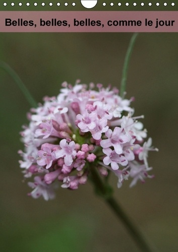 BELLES BELLES BELLES COMME LE JOUR CALENDRIER MURAL 2016 DIN A4 VERTICAL