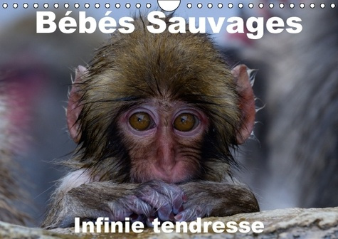 BEBES SAUVAGES INFINIE TENDRESSE CALENDRIER MURAL 2016 DIN A4 HORIZONTAL