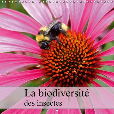 PLAN SERRE D INSECTES DE LA PH