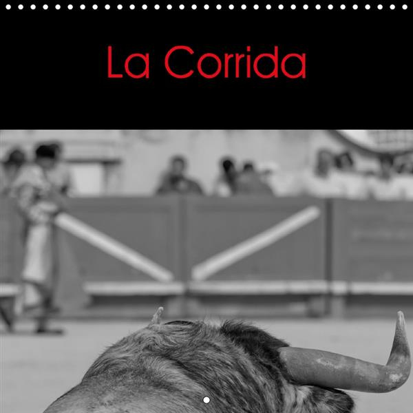 LA CORRIDA PLUS QU UN SPECTACL