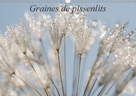 GRAINES DE PISSENLITS CALENDRIER MURAL 2017 DIN A3 HORIZONTAL - PHOTOS MACRO DE GRAINES DE PIS