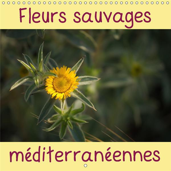 FLEURS SAUVAGES MEDITERRANEENNES CALENDRIER MURAL 2018 300 3 - UN CALENDRIER AVEC UNE FLEUR S