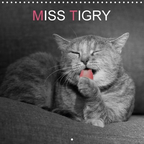 MISS TIGRY CALENDRIER MURAL 2018 300 300 MM SQUARE - MISS TIGRY OU LA VIE D UN CHAT