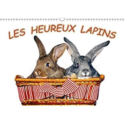 LES HEUREUX LAPINS CALENDRIER MURAL 2018 DIN A3 HORIZONTAL - DES LAPINS DEVANT L APPAREIL P