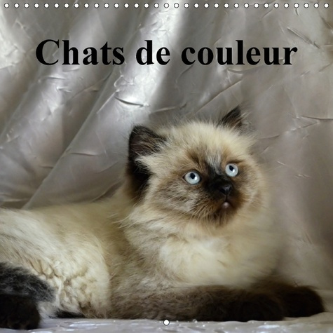 CHATS DE COULEUR CALENDRIER MURAL 2018 300 300 MM SQUARE - CHATS ET CHATONS DE COLEUR AVE